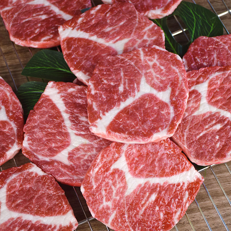 Photography Jokes - Realistic Fake Sliced Meat - Single