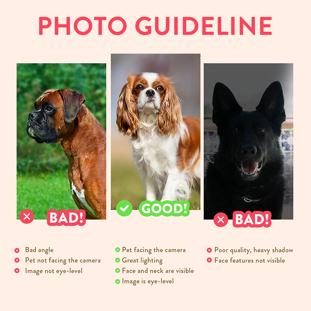 Personalized Pet Portraits Pho - огляд і ціна Photography Poster